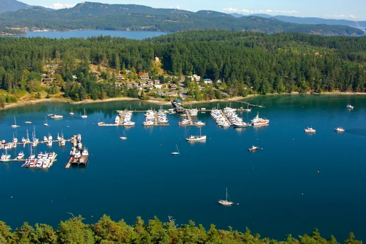 small marina in a wooded harbor