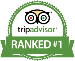 Tripadvisor Ranked #1 emblem with owl logo and green banner.