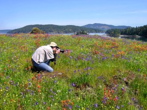 a man sitting in a flower field