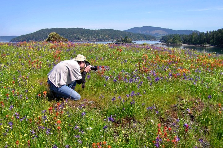 a man sitting in a flower field