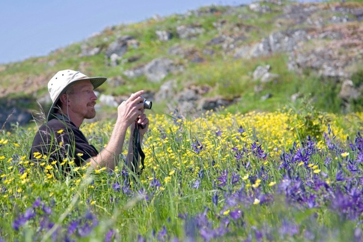 Man photographing wild flowers