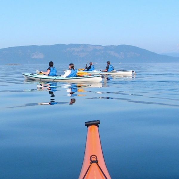 kayakers on calm water