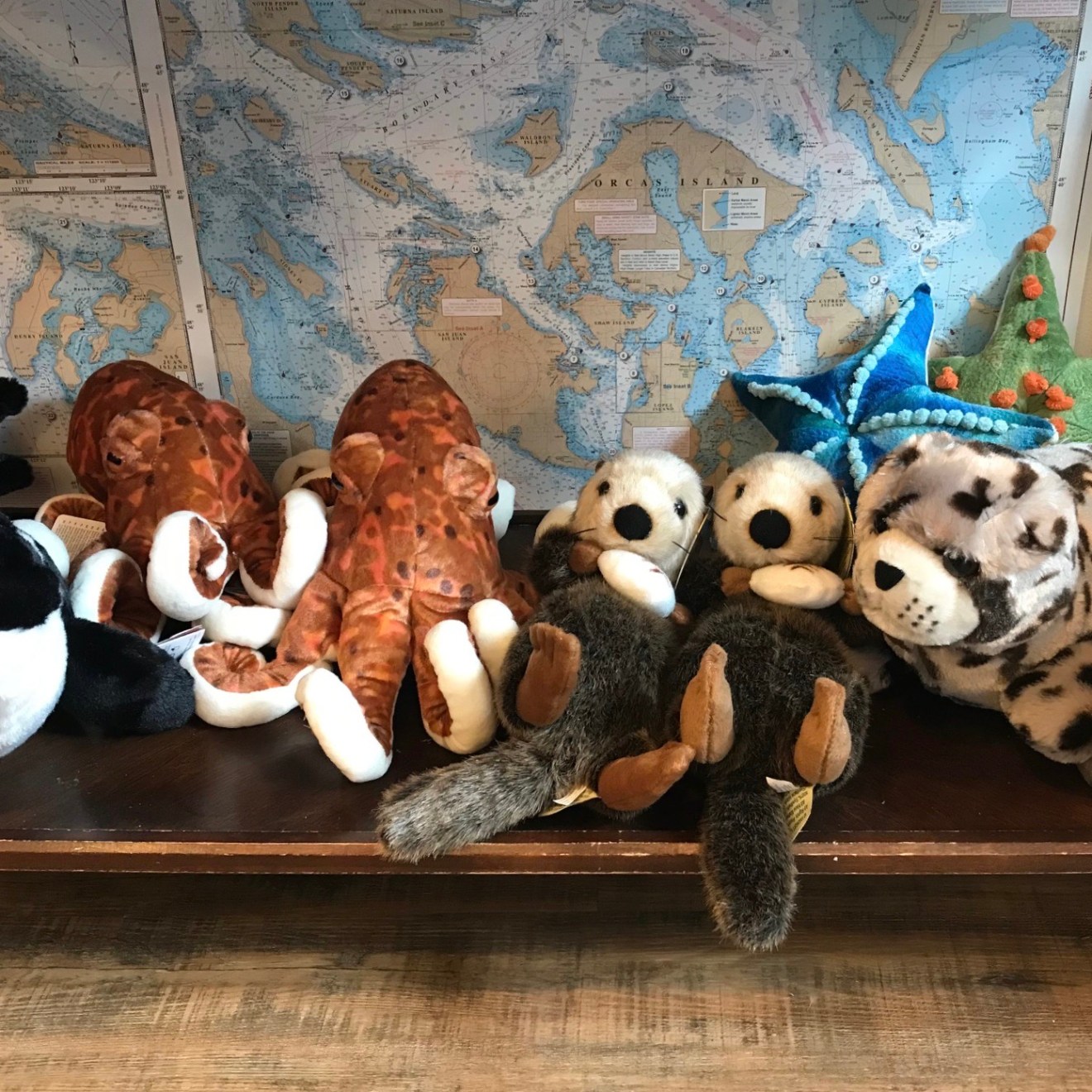 marine stuffed animals