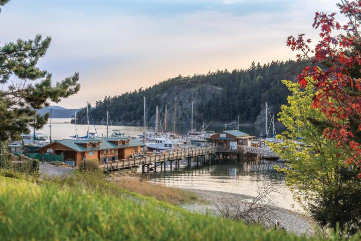 boats in a small marina