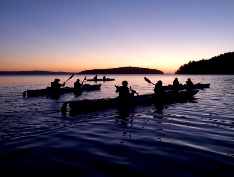 a group of kayaks on the water in the evening