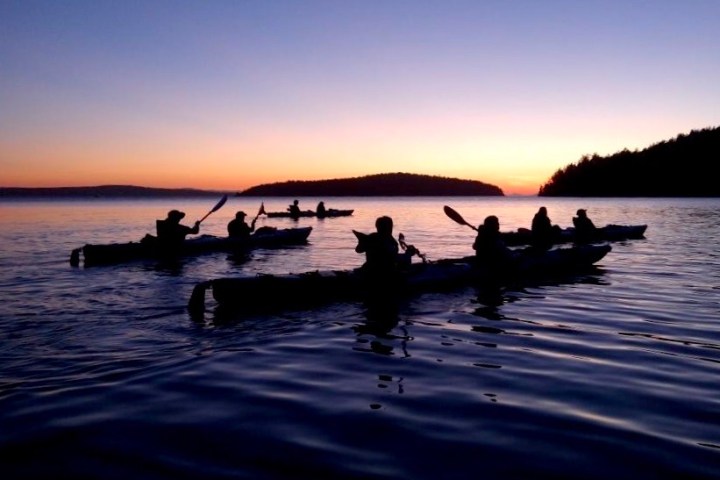 a group of kayaks on the water in the evening
