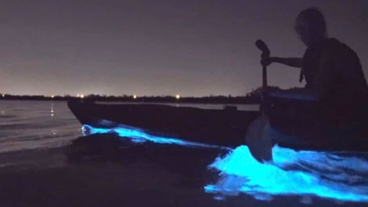 a man standing next to a body of water