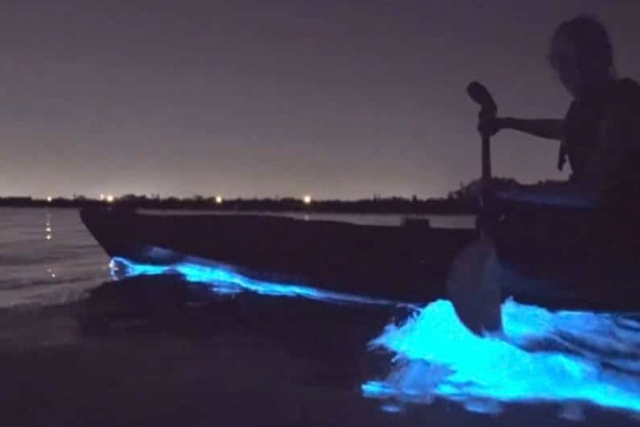 a man standing next to a body of water